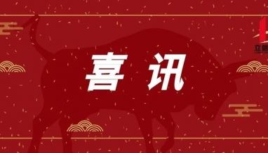 立信·喜訊 | 立信建設集團成功中標浙江長三角高層次人才創(chuàng)業(yè)基地項目工程